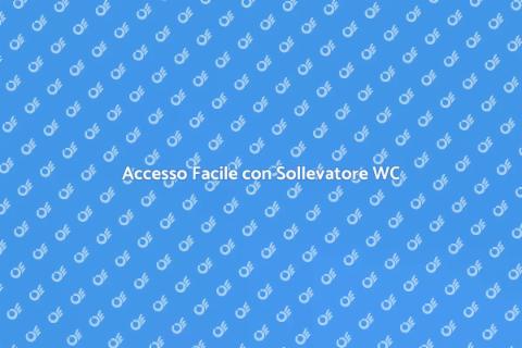 Sollevatore disabili WC: Accessibilità
