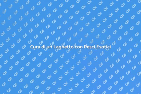 Come Manutenere un Laghetto con Pesci