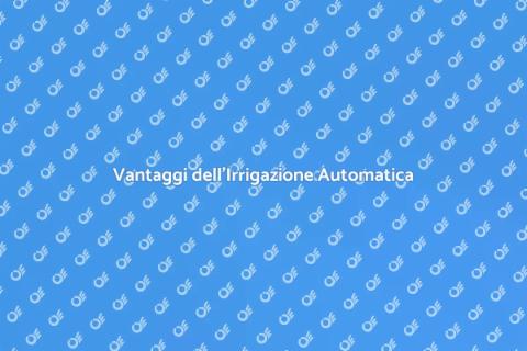 Irrigazione Automatica per Giardini