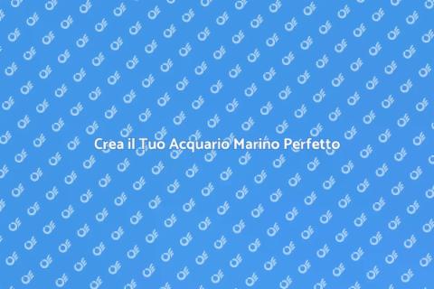 Installa il Tuo Acquario Marino