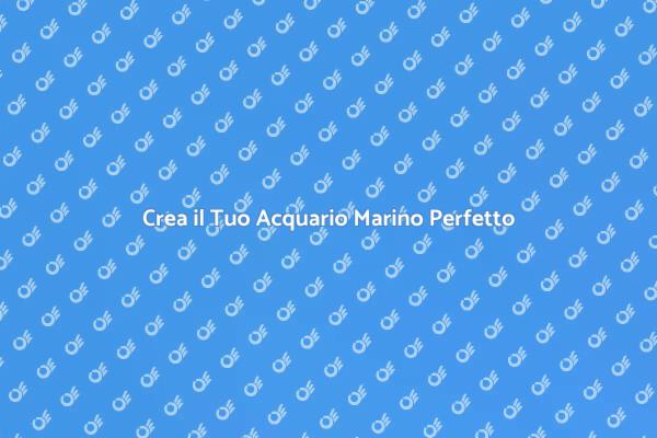 Il Tuo Acquario Marino a Casa