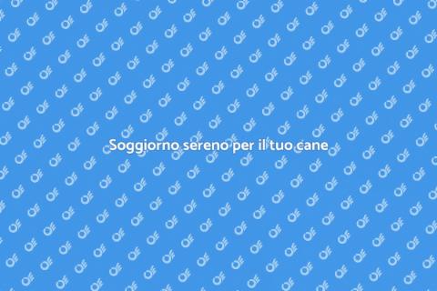 Portare il cane in una pensione
