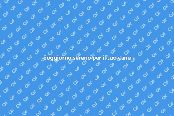 La scelta perfetta per il tuo cane
