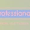 Professional Security 
