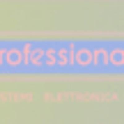 Professional Security