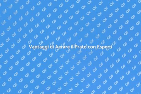 Aerare il Prato: perché è fondamentale