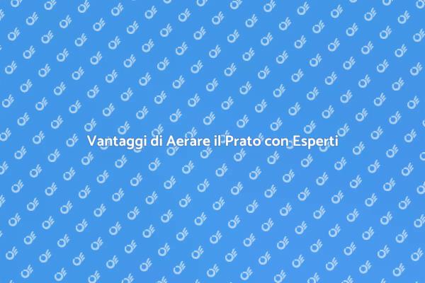 Aerazione del Prato: Un Passo Fondamentale