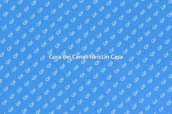 Perché Manutenere i Canali Idrici?