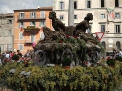 Giardinaggio Schibuola Renzo  - Foto 5