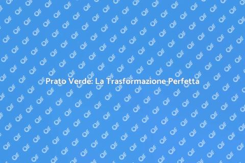 Servizio Prato: Trasforma il Tuo Giardino