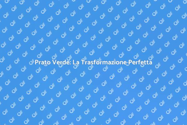 Trasforma il Tuo Giardino con un Prato Verde