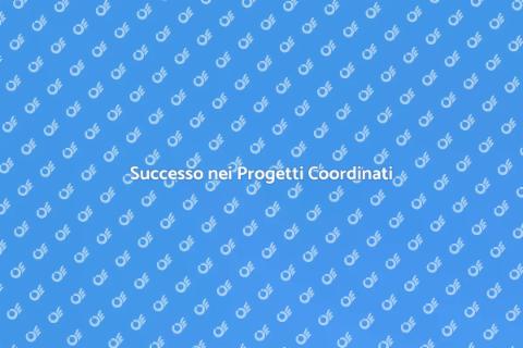 Coordinamento Completo per Progetti