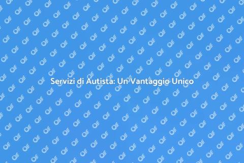 Vantaggi di Avere Un Autista