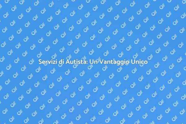 Perché Scegliere Un Autista