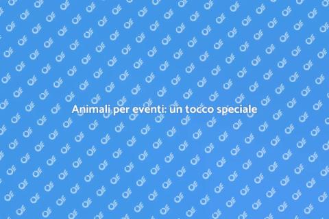 Affitto animali per eventi locali
