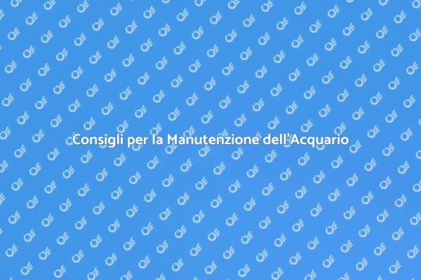 Guida alla Manutenzione dell'Acquario