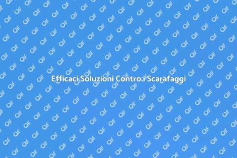 Controllo Disinfestazione Scarafaggi