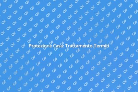 Trattamento Efficace Contro le Termiti