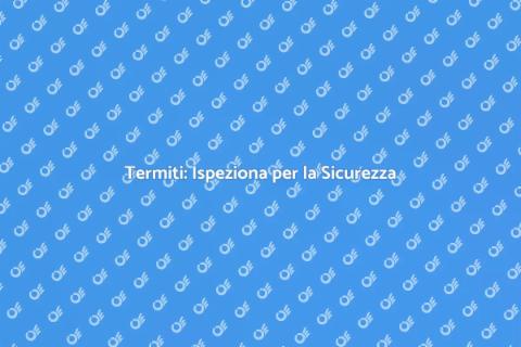 Ispezione Termiti: Proteggi la Tua Casa