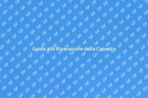 Riparazione Cassetta di Scarico