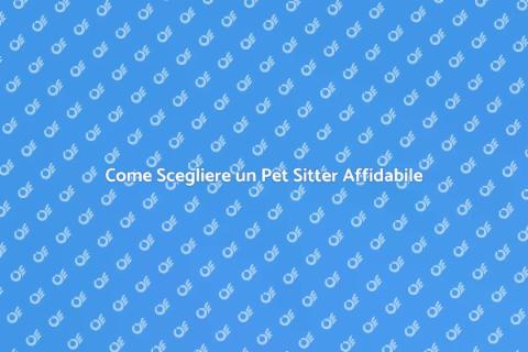 Pet Sitter Affidabile per i Tuoi Amici