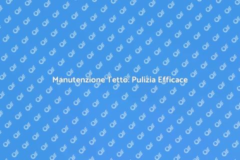 Pulire il Tetto di Casa: Guida Pratica