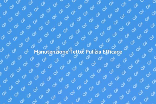 Come Mantenere il Tetto Sempre Pulito