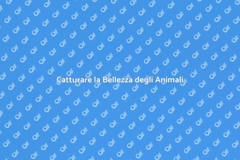 Fotografia di Animali: Guida Pratica