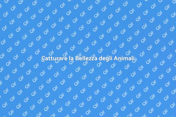 Guida alla Fotografia di Animali