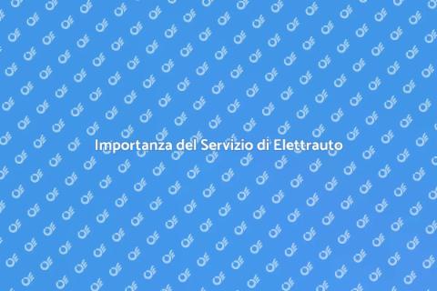 Servizio di Elettrauto Essenziale