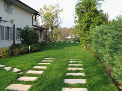 Vivaio La Federa di Piccin D. & S.  - Foto 2