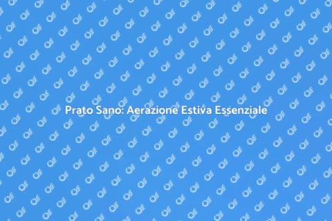 Aerare il Prato in Estate: Guida