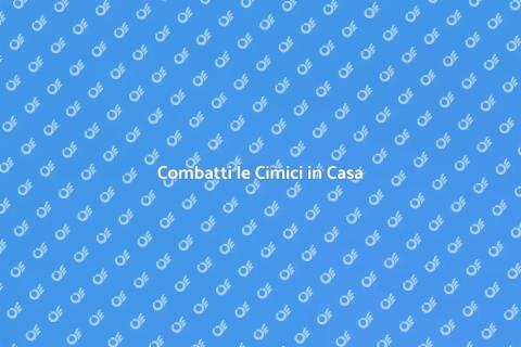 Trattamento Anti Cimici Efficace