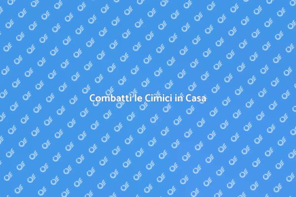 Soluzioni per Infestazioni di Cimici