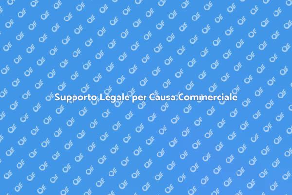 Causa Commerciale? Trova l'Avvocato Ideale