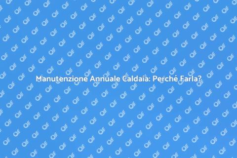 Controllo Annuale Caldaia a Basamento