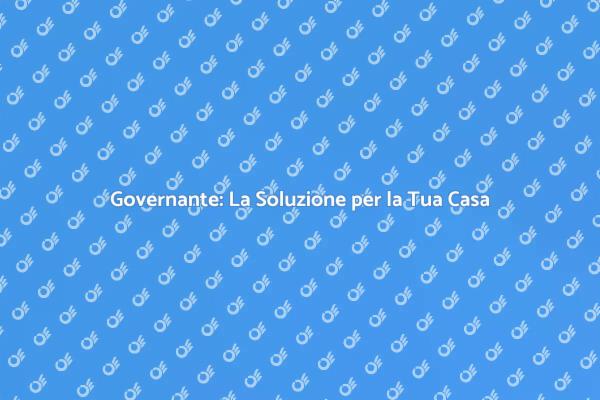 Governante: Organizza la Tua Vita Domestica