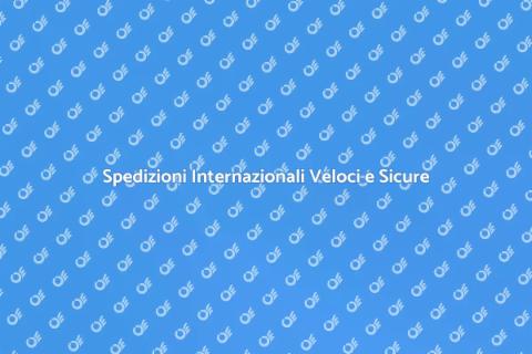 Trasporto Internazionale Veloce e Affidabile