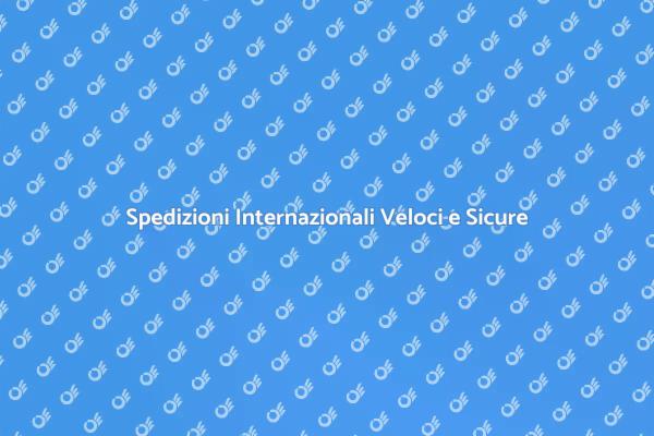Scopri il Trasporto Internazionale Veloce