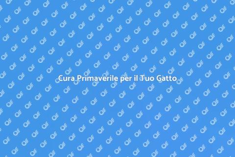 Toelettatura Primaverile per Gatti