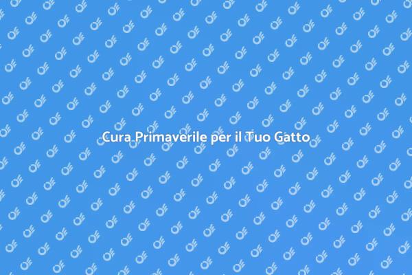 Rinnova il Tuo Gatto con la Toelettatura