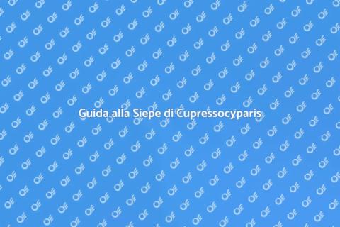 Progettare una Siepe di Cupressocyparis