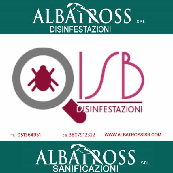 ALBATROSS   SRL - Foto 1