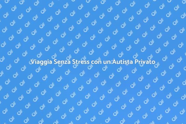 Libertà di Movimento con Autista Privato