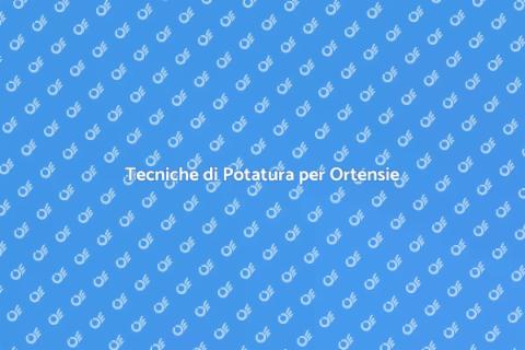 Potatura Professionale delle Ortensie