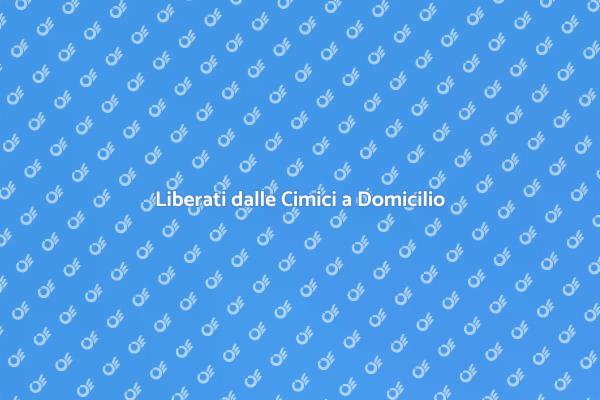 Disinfestazione Efficace delle Cimici