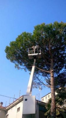 Longo Giardinaggio  - Foto 2