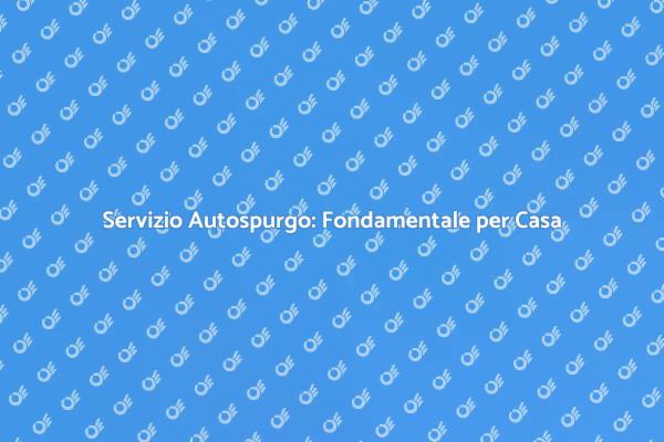 Perché Scegliere un Servizio di Autospurgo