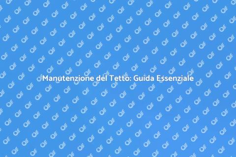 Pulizia e Manutenzione del Tetto