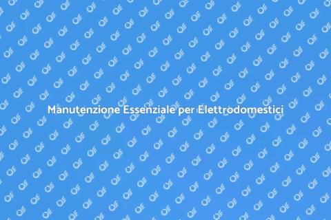 Manutenzione Elettrodomestici Essenziale